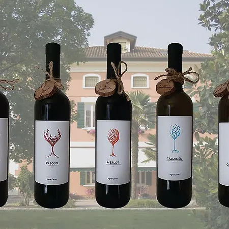 Bed and breakfast Vigne Correr