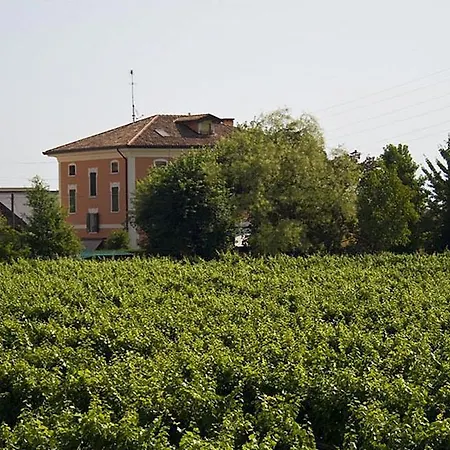 Vigne Correr